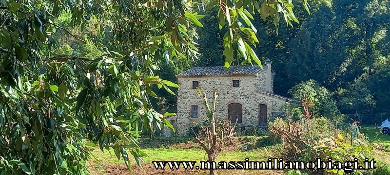 Antico casale con terreno